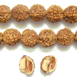 Margele, seminte de rudraksha, maro inchis, cu 5 muchii, 7-8mm