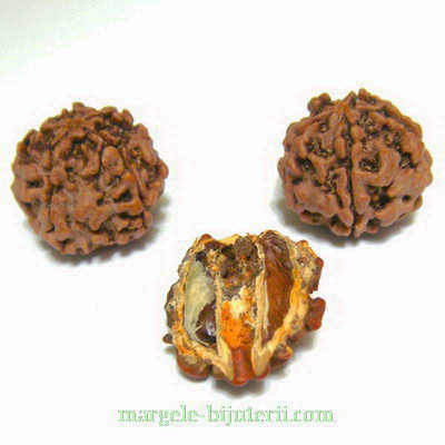 Margele, seminte de rudraksha, maro, 5 muchii, 10-11mm