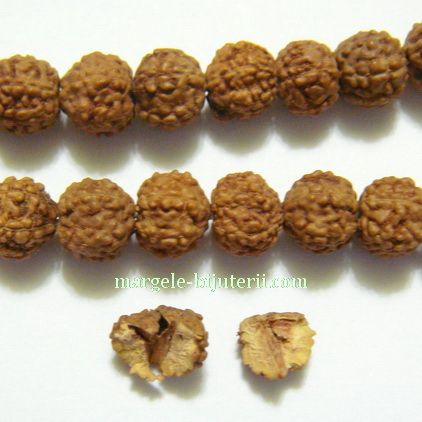 Margele, seminte de rudraksha, maro, 5 muchii, 9-9.5mm