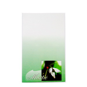 Carton martisor, verde cu ghuicel, 9.2x5.4cm