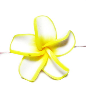 Margele polymer, floare plumeria alba cu galben, 30x8mm