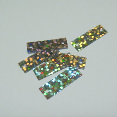 Paiete rectangulare argintii 6x19 mm