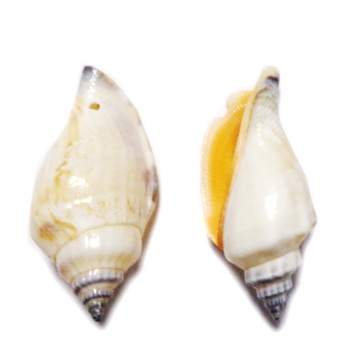 Pandantiv scoica crem deschis, 41-45x19-22mm 1 buc