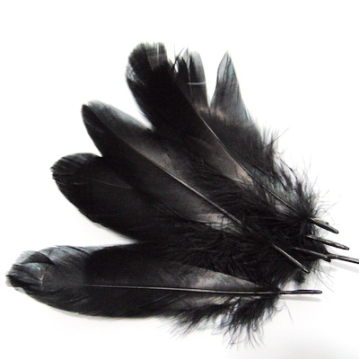 Pene negre 10-14 cm