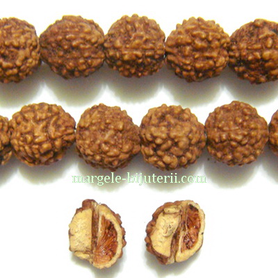 Margele, seminte de rudraksha, maro, cu 5 muchii, 8-9mm