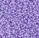 23647_1.jpg